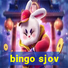 bingo sjov