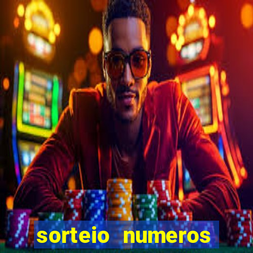 sorteio numeros bingo online