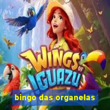 bingo das organelas