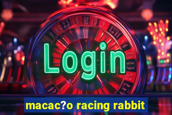 macac?o racing rabbit