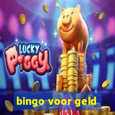 bingo voor geld