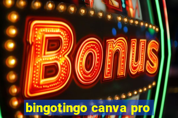 bingotingo canva pro