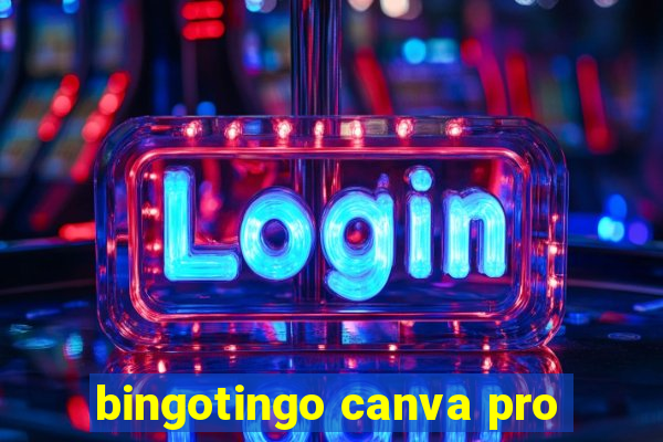 bingotingo canva pro