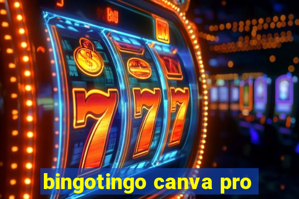 bingotingo canva pro