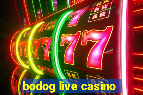 bodog live casino