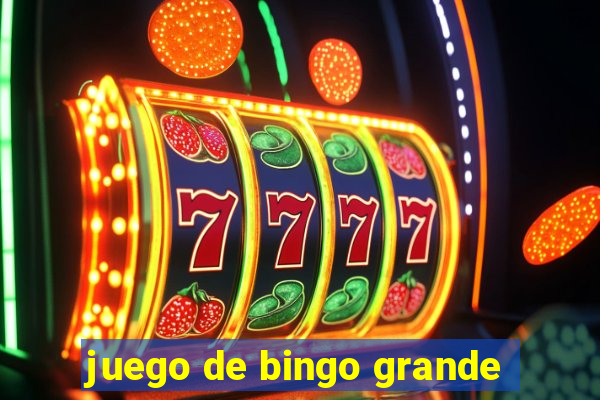 juego de bingo grande