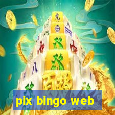 pix bingo web