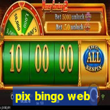 pix bingo web