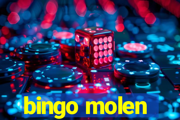 bingo molen