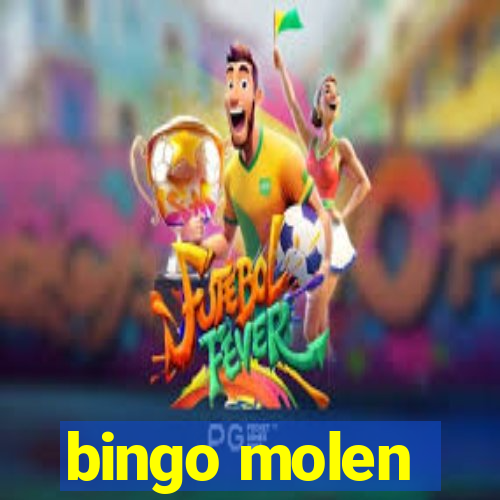 bingo molen