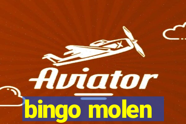 bingo molen