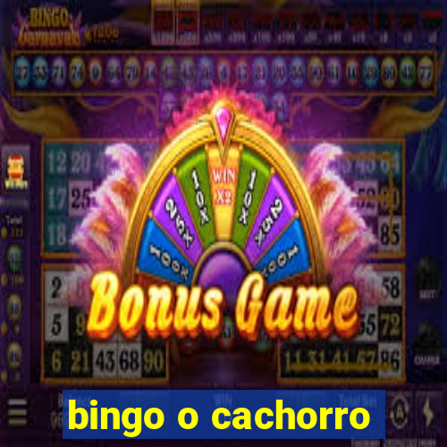 bingo o cachorro